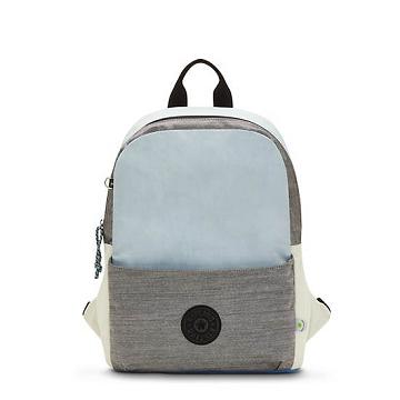 Kipling Sonnie 15" Backpack Laptop Veske Grå | NO 1543GS